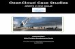 OzenCloud Case Studies - Ozen Engineering - The ANSYS · PDF fileHardware partner “UberCloud ... OzenCloud Case Studies, April 20, 2015 7 7 The OzenCloud helped with smoother execution