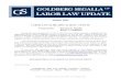 LABOR LAW UPDATE - Home | Goldberg Segalla Law - Winter 2011... · Affiliated with Studio Legale Casini, Milan and Viareggio, Italy . Winter 2011 . LABOR LAW §§ 200, 240(1) & 241(6)