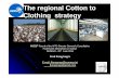 The regional Cotton to Clothing strategy · PDF fileThe regional Cotton to Clothing strategy At 21st Round of the WTO Director General's Consultative Framework Mechanism on Cotton