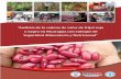 “Análisis de la cadena de valor de frijol rojo y negro en ... · PDF file2 La realización del estudio “Análisis de la Cadena de Valor de frijol rojo y negro en Nicaragua con