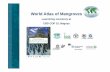 World Atlas of Mangroves - CBD Home · PDF fileWorld Atlas of Mangroves Launching ceremony atLaunching ceremony at CBD COP 10, Nagoya