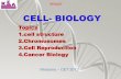CELL- BIOLOGY - Karkea.kar.nic.in/vikasana/biology_2013/bio_c13.pdf · BIOLOGY CELL- BIOLOGY Topics ... H2, H2A, H2B, H4 4. H2A, H2B, H3, H4 . ... Telomere 3. Centromere 4. Chromocentre