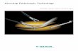 Aesculap Endoscopic  · PDF fileAesculap Endoscopic Technology ... indication-related instruments is the ... on its successful range of vascular surgical instruments