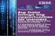 IBM Smarter Analytics: Big Data and Insurance Big Data ... · PDF fileIBM Smarter Analytics: Big Data and Insurance Big Data brings big opportunities for insurers Data is the life-blood