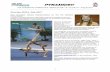 PYRAMIDES! - fig-gymnastics.com Nr 2... · the pictures from the TOD and presented in the correct way as prescribed in the TOD where an example of how this should be done can be found