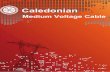 Medium Voltage Cable - caledonian-cables.com Voltage Cables.pdf · sealing of conductors and screens, ... - Cable stranding machine from Mali, ... Caledonian always recognises the