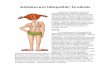 Adolescent Idiopathic Scoliosis - Welcome to … Idiopathic...Adolescent Idiopathic Scoliosis Adolescent idiopathic scoliosis is characterized by a lateral bending and twisting of