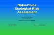 Bolsa Chica Ecological Risk Assessment · PDF fileBolsa Chica Ecological Risk Assessment 15 September 2004 Ned Black, Ph.D. Region 9 CERCLA Ecologist 415-972-3055 black.ned@epa.gov