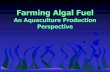 FARMING ALGAE FUEL - College of Agriculture, Food and ... · PDF fileFuels from Algae •Hydrogen ... Algae biofuels -- a brief introduction. jbenemann@aol.com ... FARMING ALGAE FUEL