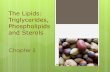 The Lipids: Triglycerides, Phospholipids and Sterols - …kraftc.faculty.mjc.edu/PPChapter52013.pdf ·  · 2013-02-14Chapter 5 The Lipids-Triglycerides, Phospholipids, and Sterols