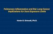 Pulmonary Inflammation and Rat Lung Cancer … Inflammation and Rat Lung Cancer Implications for Dust Exposure Limits Kevin E. Driscoll, ... p