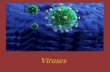 Viruses - KSU Facultyfac.ksu.edu.sa/sites/default/files/2-virus_new_212.pdf · Structure of Viruses 1) Genome: ... 4. ds RNA viruse Contains several genes that are responsible for