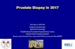 Prostate Biopsy 2018 - profdjavan.com Biopsy 2018... · Prostate Biopsy in 2017 Bob Djavan, MD, PhD Professor and Chairman, Department of Urology, Rudolfinerhaus Foundation Hospital,Vienna,