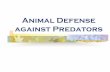 Animal Defense against Predators - Wildlife WayStation · PDF fileAnimal Defense Against Predators Presented here are several descriptions and examples of animal defense. 1. ... accumulate