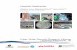 Hospital Wastewater -  · PDF fileHospital Wastewater . Kristell Le Corre1, ... Hospital Characteristics ... Human Health Risks and Current Management