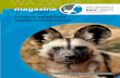 Towards Integrated Species Conservation -  · PDF fileTowards Integrated Species Conservation ... model is referred to as a managed metapopulation, ... genome resource banks