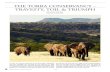THE GLINT OF ECOTOURISM THE TORRA CONSERVANCY – TRAVESTY ... · PDF fileOne sunny Saturday in May, ... lasting from midday until well into the night ... to live game capture and