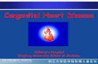 Congenital Heart Disease - m-learning.zju.edu.cnm-learning.zju.edu.cn/G2S/eWebEditor/uploadfile/... · Congenital Heart Disease ... potential cyanotic CHD (ASD, VSD, PDA) Right to