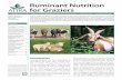 Ruminant Nutrition for Graziers - Plant Sciences · PDF file · 2008-11-22Ruminant Nutrition for Graziers Introduction ... stand how a ruminant animal (cattle, sheep, goats) ... gestible.