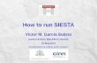 How to run SIESTA - Physics to run SIESTA Víctor M. García Suárez Gollum School. MOLESCO network 20-May-2015 Partially based on a talk by Javier Junquera