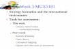 Week 3 MGX5181 -   Method Environmental ... Pakistan, Nigeria & Bangladesh •Emerging countries ... x Accelerated depreciation x Reduction in social security contributions