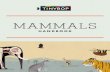 MAMMALS - For curious, creative & kind kids | Tinybop · PDF file · 2018-02-15movements. Most mammals have similar sets of bones in their body. ... Animals with no cones in their