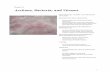 Archaea, Bacteria, and Viruses - University of … Chapter 19 Archaea, Bacteria, and Viruses PROKARYOTES, VIRUSES, AND THE STUDY OF PLANTS PROKARYOTIC CELL STRUCTURE Many Prokaryotic