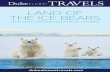 LAND OF THE ICE BEARS - Duke to a bear hunting on the pack ice or a mother bear instructing her young cubs, ... LAND OF THE ICE BEARS: AN IN-DEPTH EXPLORATION OF ARCTIC SVALBARD