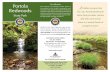 Portola Our Mission A Redwoods - California State Parks Park Our Mission The mission of California State Parks is to provide for the health, inspiration and ... 9000 Portola State