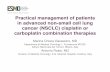 ESMO E-Learning: Management of Advanced NSCLC: …oncologypro.esmo.org/content/download/38068/749531/file/managemen… · cancer (NSCLC) cisplatin or carboplatin combination therapies
