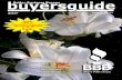 Knoxville, TN - buyersguide Better Business Bureau Better Business Bureau ... Business - E-Commerce .....30 Business Brokers ... Carpet & Rug Dealers - New .... 32