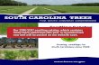 Seedling Catalog 2014-2015 - South Carolina Forestry ...trees.sc.gov/seedcat.pdfSeedling Catalog 2014-2015 Growing seedlings for South Carolinians since 1928. Our 2016-2017 seedling