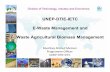UNEP-DTIE-IETC E-Waste Management and Waste …sustainabledevelopment.un.org/content/dsd/csd/csd_pdfs/csd-19... · E-Waste Management and Waste Agricultural Biomass Management. 2