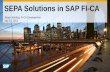 SEPA Solutions in SAP FI-CAsapidp/... · - Through Convergent Invoicing/IS-U Invoicing when issuing an invoice, incl. adjusted correspondence - (In future) From upstream systems,
