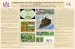 No Slide Title · PDF file[Coleus sp. (Lamiaceae)], lantana [Lantana camara (Verbenaceae)], vinca [Vinca sp. (Apocynaceae)], and buckwheat [Fagopyrum esculentum ... No Slide Title