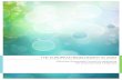 THE EUROPEAN BIOECONOMY IN 2030 - Green Growth · PDF fileTHE EUROPEAN BIOECONOMY IN 2030 Delivering Sustainable Growth by addressing the Grand Societal Challenges. ... found at the