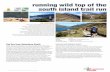 running wild top of the south island trail run · PDF filerunning wild top of the south island trail run A pioneering, fully supported Trail Running itinerary along the most spectacular