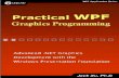 Practical WPF Graphics Programming - pudn.comread.pudn.com/downloads116/ebook/495109/Practical WPF Graphics... · Introduction ... 606 Creating Shaded Surfaces..... 610 Chapter 14