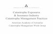American Academy of Actuaries Catastrophe … Catastrophe...American Academy of Actuaries Catastrophe Management Work Group. Overview • Introduction ... American Academy of Actuaries