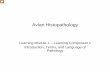 Avian Histopathology avian Histopathology Histopathology Learning Module 1 – Learning Component 1 Introduction, Terms, and Language of Pathology This is the first learning component