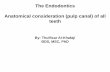 The Endodontics Anatomical consideration (pulp … Endodontics Anatomical consideration (pulp canal) ... • lingual groove ... appearance of extra cusp) Lingual, palatogingival or