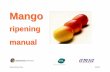 ripening manual - SquarespaceRipening+Manual.pdf · handling practices must be checked on arrival at the facility. ... room venting) and a guide to how long mangoes take to ... Mango