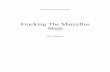 Fracking The Marcellus Shale - · PDF fileFracking The Marcellus Shale ... of natural gas in the Marcellus Shale has the potential to be a ... they try to navigate the dynamic world