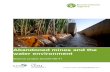 Abandoned mines and the water environment - gov.uk · PDF fileobligation to deal with the consequences of abandonment. ... northern England which continue to cause pollution despite