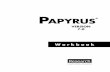 Papyrus 7.0 Workbook - Research Software · PDF fileOverview of the PAPYRUS Documentation W4 ... advanced chapters as you ... Research Software Design lacks the resources to pro-vide