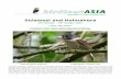 Sulawesi and Halmahera - Birdtour Asia Reports/Birdtour Asia Sulawesi Oct 2015.pdf · Located just east of Wallace’s line the Indonesian islands of Sulawesi and Halmahera cover