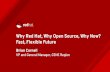 Why Red Hat, Why Open Source, Why Now? Fast, Flexible  · PDF fileWhy Red Hat, Why Open Source, Why Now? Fast, Flexible Future Brian Cornell VP and General Manager, CENE Region