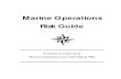 Marine Operations Risk Guide - maritimeconsultant.commaritimeconsultant.com/Marine Risk Management.pdf · Marine Operations Risk Guide A Guide to Improving Marine Operations by Addressing