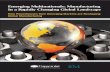 Emerging Multinationals: Manufacturing In a Rapidly ... · PDF fileGrowth Strategy and Tactics: Reliance on M&A Grows All of these companies benefit from a cost advantage over ...