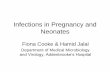 Infections in Pregnancy and Neonates - alancam.comalancam.com/study/path/Infections in Pregnancy and Neonates FC HJ... · Post delivery ‘surgical’ infection • episiotomy, ...